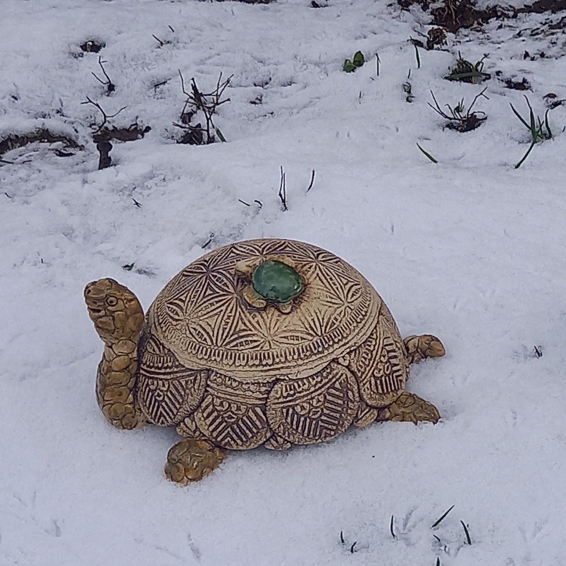 Schildkröten Kapuzenjacke - Lustiges Tier Motiv Sweatshirt Für Kinder & Erwachsene